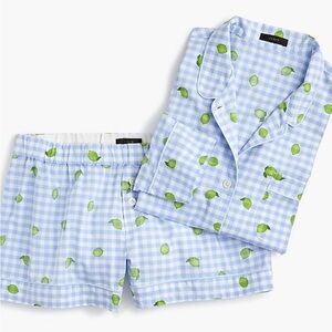 J. Crew Lime and Gingham Pajama Set